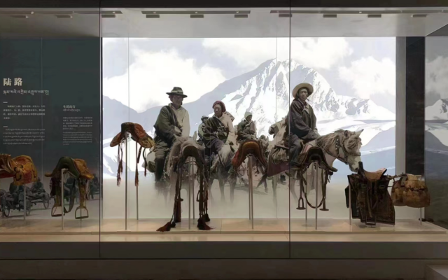 Anti-Reflective Glass for Museum display cases